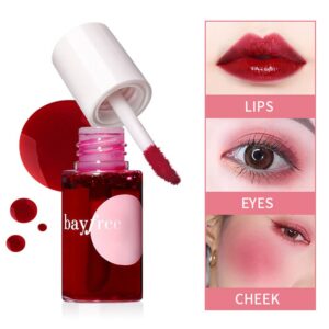 2 Colors Lip Tint Stain, Plump Lip Gloss Moisturizing Tinted for Cheek & Lip, Long lasting, Glossy Korean Mini Liquid Lipstick, Easy Apply