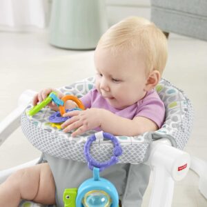 Fisher-Price Portable Bassinet and Travel Play Area, Indoor and Outdoor Use, On-The-Go Baby Dome, Windmill Fisher-Price Portable Baby Seat, Baby Chair for Sitting Up, Sit-Me-Up Floor Seat