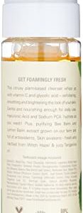 FarmHouse Fresh C the Future Foam Facial Cleanser