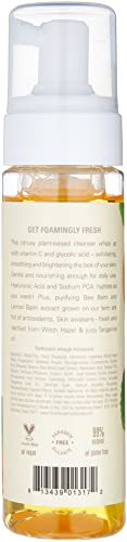 FarmHouse Fresh C the Future Foam Facial Cleanser