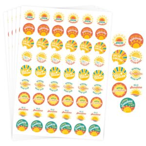 1,080 sunshine stickers bulk - 20 sheets sun stickers for kids, you are my sunshine stickers, you are my sunshine sticker, sending sunshine stickers, positive stickers for kids, happy stickers