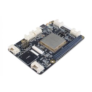 Sipeed maix Hat AIOT Development Board Limited Edition Edge Computing Raspberry Pi Accessories (Maix Hat Board + Camera + Screen)