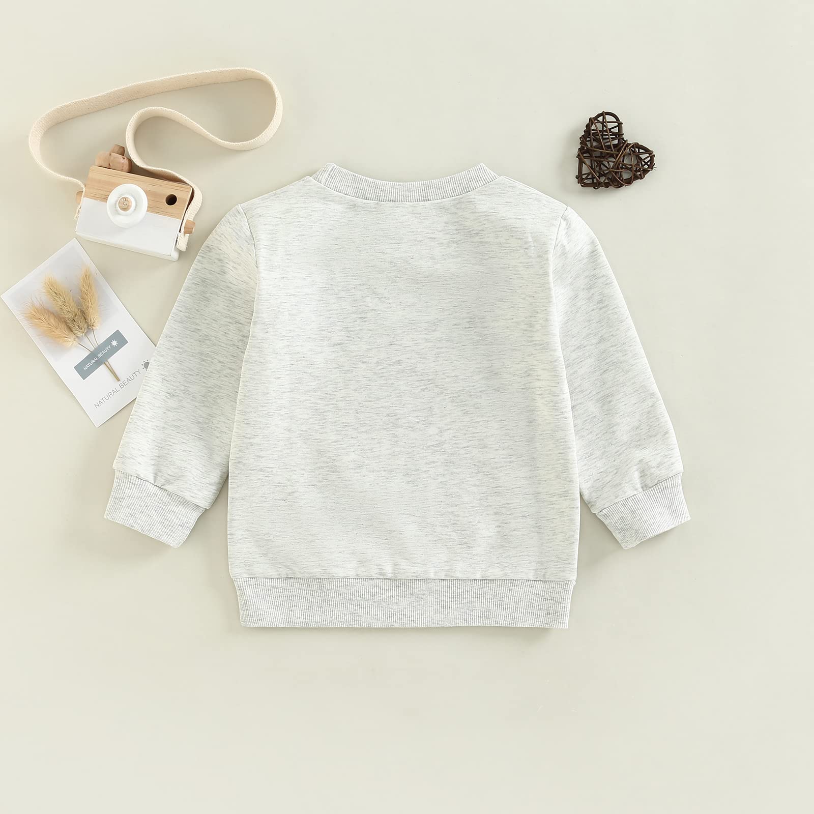 Lamuusaa Toddler Kid Baby Girl Boy On Sunday We Watch Football with Mommy/Daddy Sweatshirt Oversized Sweater Fall Clothes (Football with Daddy, 2-3 Years)