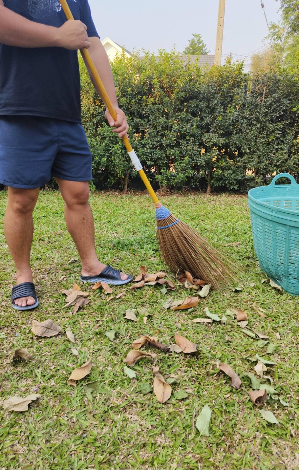 Garden Broom, 61 Inch, Natural Coconut Leaf Broom,Outdoor Brooms, Sweep Snow and Wet Leaves Multi-Surfaces Sturdy Outdoor Coconut Leaf Broom Bamboo Stick Handle Durable Broom Asian Heavy Duty Broom