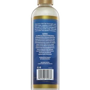 The Mane Choice H2Oh! Hydration Therapy Deep Cleansing Shampoo 8 Oz