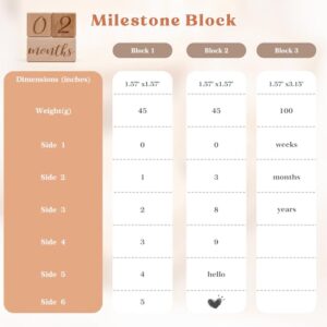 Monthly Baby Milestone Blocks Set of 3 Baby Age Blocks for Monthly Milestone Baby Age Milestone Signs Wooden Baby Photo Props Set Perfect for Baby Shower and Keepsake (Gift Set 3 PCS)