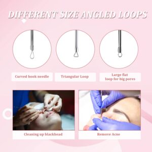 4PCS Blackhead Acne Removal Extractor, Curved Blackhead Tweezers Kit, Professional Stainless Pimple Acne Blemish Removal Tools Kit with Storage Box