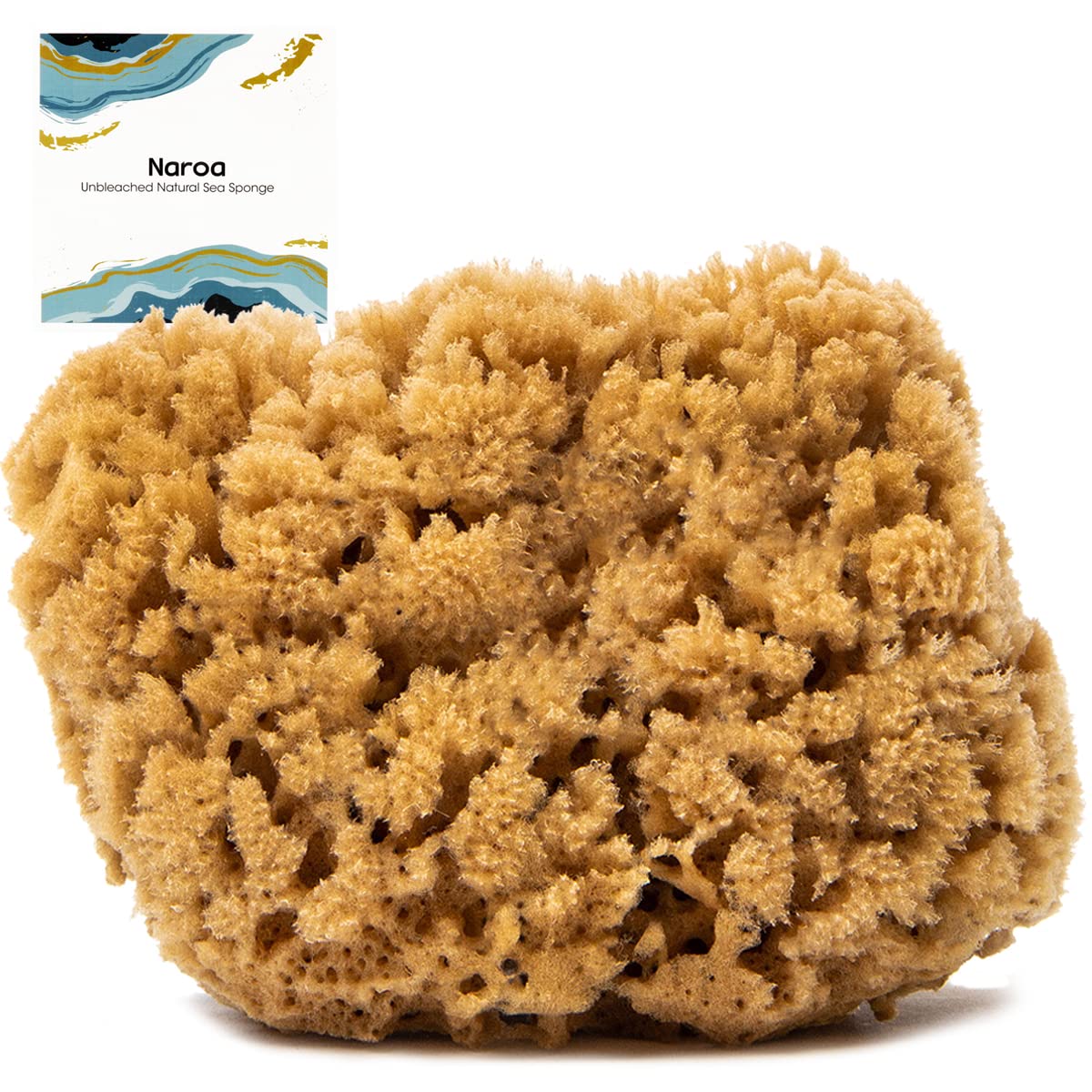 Naroa Massage Natural Shower Sponge | Unbleached Body Scrubber Puff | Bath Sponge for Healthy Skin | Eco Friendly Sustainable Sea Sponge (Massage - X Large)