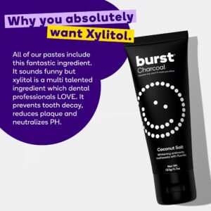 Burst Toothbrush Travel Case + Charcoal Whitening Toothpaste 2pk