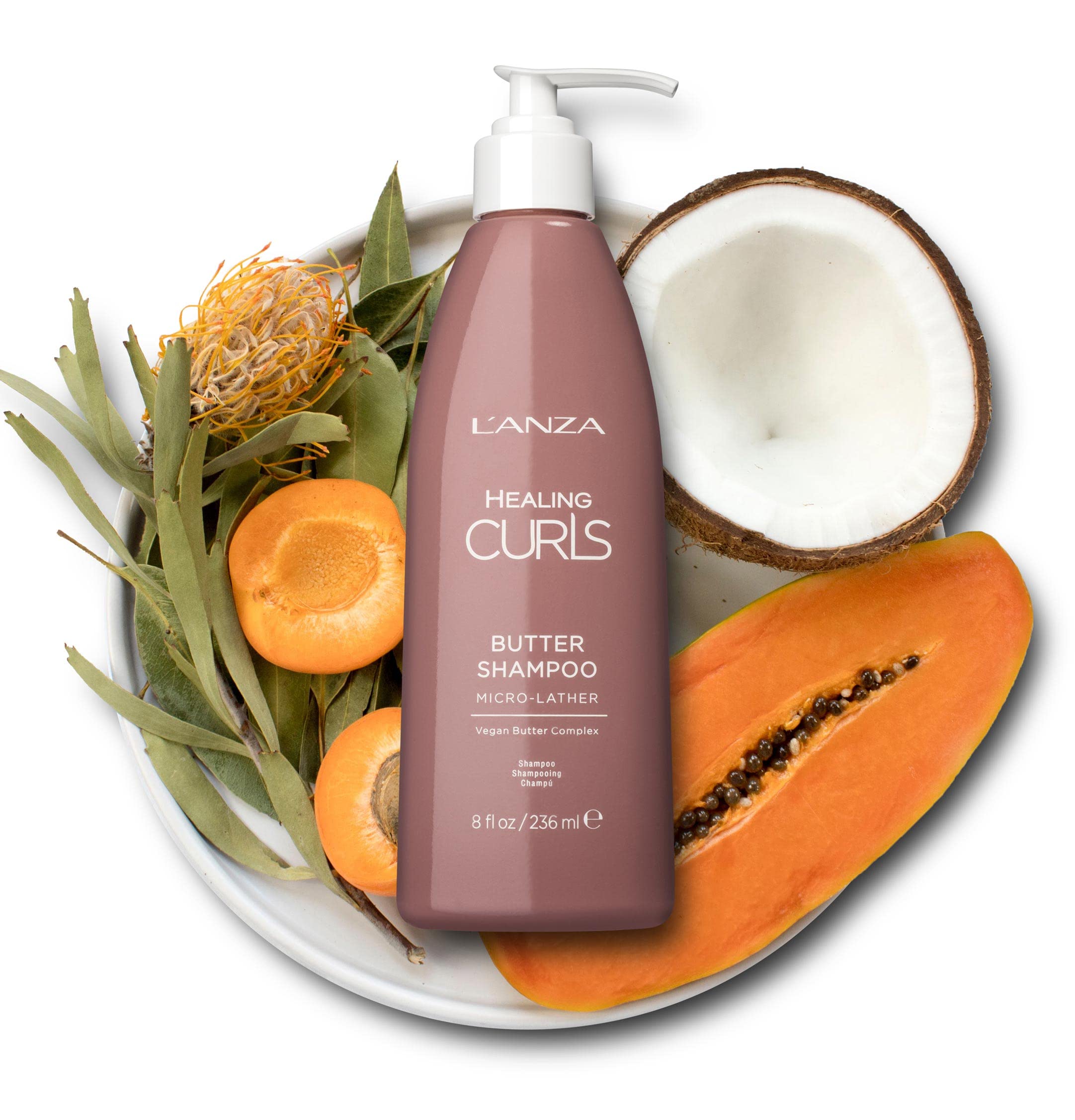 L'ANZA Healing Curls Butter Shampoo - Curly Hair Shampoo for a Creamy, Color-Safe Cleanse and Refreshed Curls - Paraben and Sulphate Free Shampoo (8 Fl Oz)