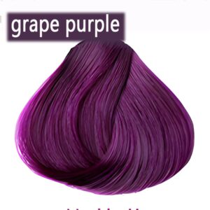 Purple Hair Dye Shampoo Permanent YIZHONG Hair Color For 100% Gray Coverage Women Men Dark Easy Comb Dyeing (grape purple)