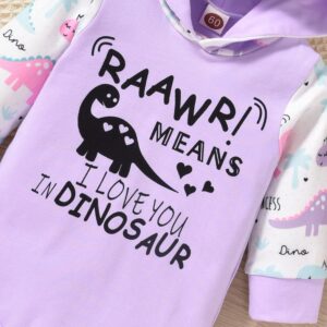 MINIFEIKO 6-12 Months Baby Girl Clothes Dinosaur Long Sleeve Hoodie Romper Bodysuit And Pants With Heaband 3Pcs Infant Girls Fall Winter Outfit Set(Purple Dino,6-12 Months)