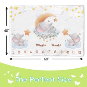 QICAIYUN Baby Milestone Monthly Blanket Elephant Desgin Twins Baby Month Blanket First Year Calendar Growth Chart Play Mat Large 60" x40'' Baby Photography Props YUNBTZT042