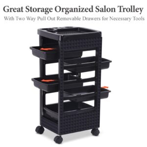 Paddie Black Salon Trolley Cart with Wheels/5 Drawers/Hair Dryer Holder/Tint Bowl Slot for Hair Stylist, Beauty Salon Equipment