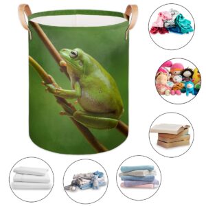 Tree Frog Collapsible Laundry Basket Large Laundry Hamper Waterproof Foldable Storage Bins Laundry Basket with Leather Handles Clothes Nursery Hampers for Bathroom Bedroom Toy Organizer