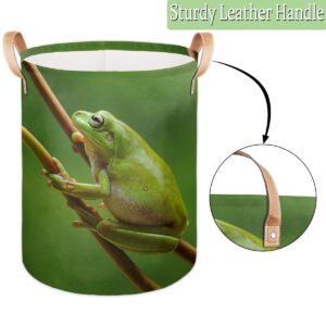 Tree Frog Collapsible Laundry Basket Large Laundry Hamper Waterproof Foldable Storage Bins Laundry Basket with Leather Handles Clothes Nursery Hampers for Bathroom Bedroom Toy Organizer