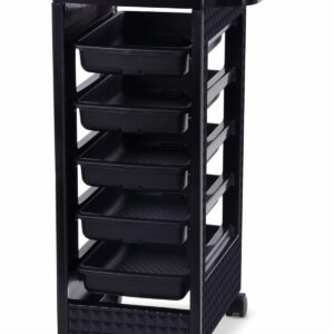 Paddie Black Salon Trolley Cart with Wheels/5 Drawers/Hair Dryer Holder/Tint Bowl Slot for Hair Stylist, Beauty Salon Equipment