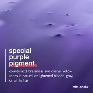 milk_shake Silver Shine Purple Shampoo for Blonde Hair - Blonde Shampoo for Brassy Hair 100% SLES-Free 1.7 Fl Oz