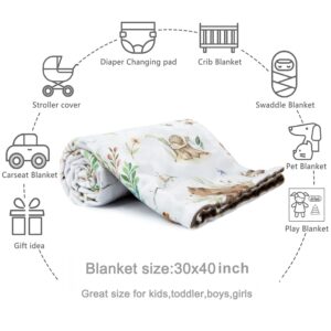 HOMRITAR Baby Blanket for Boys Girls Soft Plush Minky Blanket with Double Layer Dotted Backing for Toddler Nursery with Woodland Animals Printed 30 x 40 Inch (75 x 100 cm)