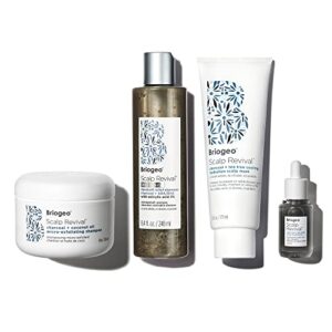 briogeo scalp revival™ dandruff relief and scalp soothing set