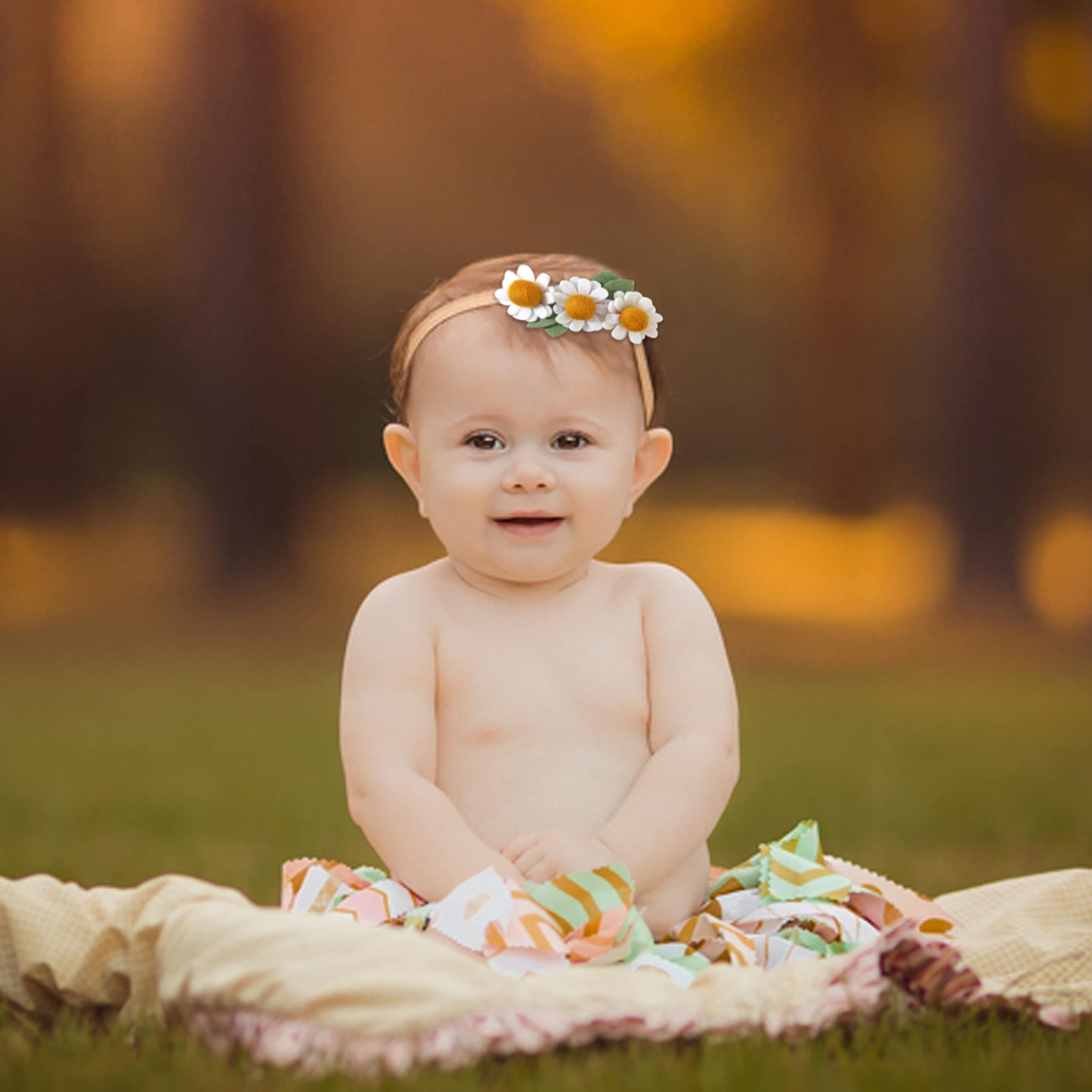 Felt Daisy Baby Headband- Two Groovy and Wild One Party Accessories, Woodland Baby Headbands, New Born Shooting Props, Half Birthday Flower Headband