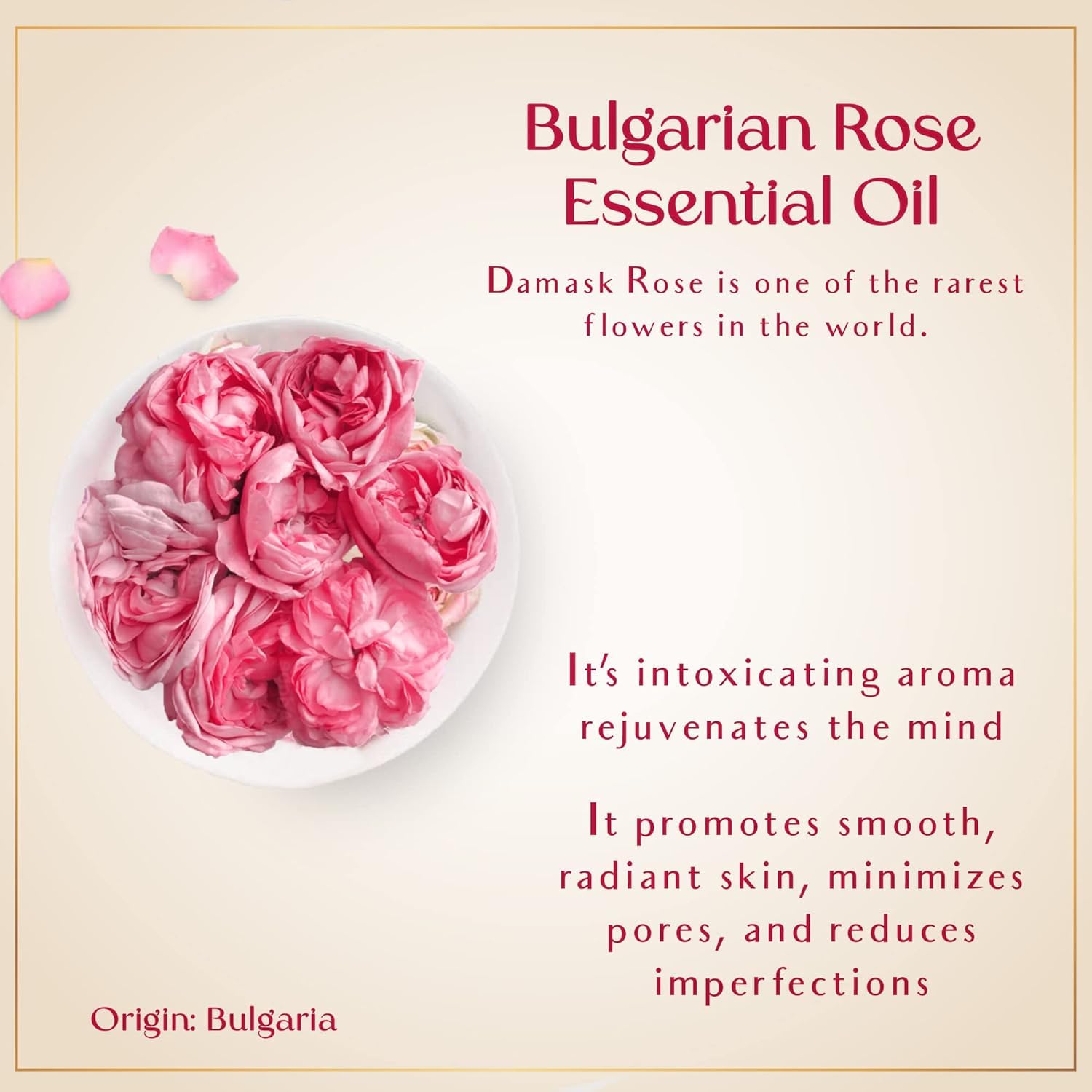 SAFA Rosé Oil - Organic Oil for Face, Body, Hair, Nails & Aromatherapy | Bulgarian Rose Essential Oil & Organic Floating Rose Petals | Moisturizer for Women & Men - 4 Fl Oz (1)