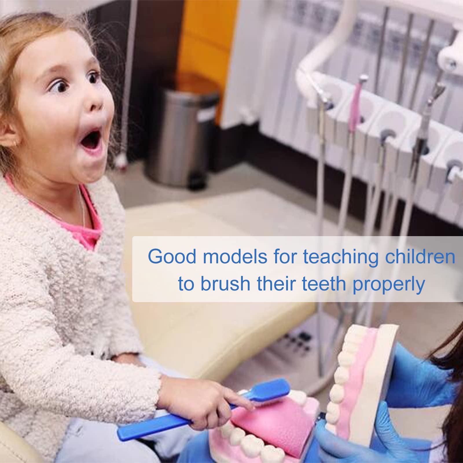 Healthible Tooth Brushing Model - 6 Time Tongue Teeth Model Mouth Model for Speech Therapy Kids Dental Care Teaching Demonstration Model