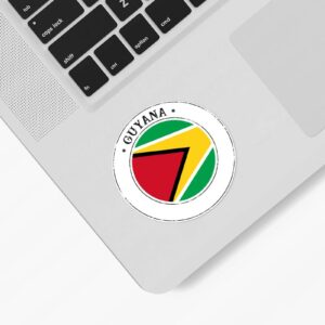 100 PCS Guyana Flag Stickers for Kids Guyana Patriotic Stickers Popular Country City Souvenir Labels Stickers for Water Bottles Laptop Computer Envelope Seals & Goodie Bags,1.5 Inch