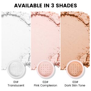 FREEORR Loose Face Powder, Oil Control Minimizes Pores and Fine Lines, Loose Baking Face Setting Powder Makeup, Oil Control Soft Focus Make Up Setting Powder, Matte Flawless Finish,8g (01 Translucent)