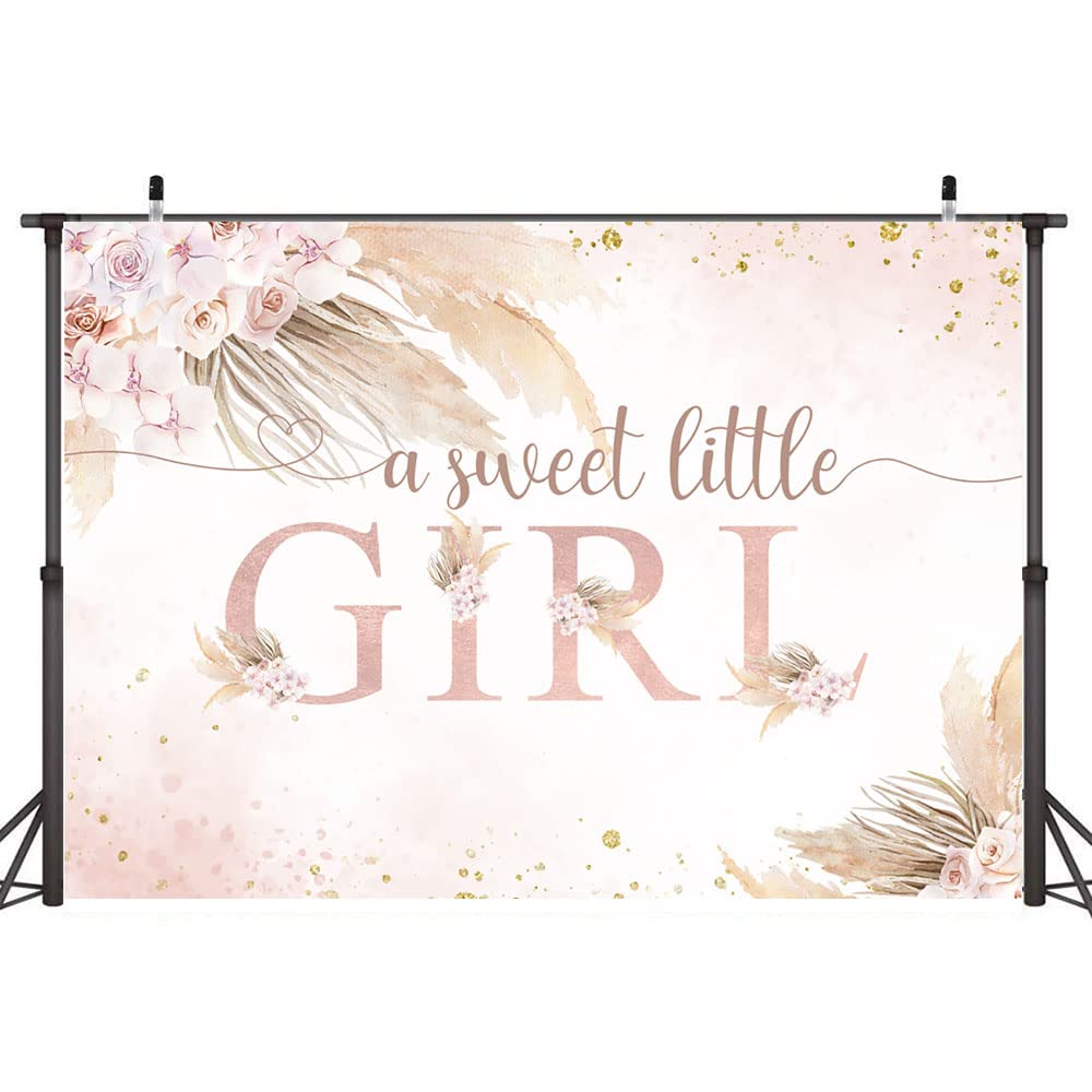 Ticuenicoa 7x5ft Boho Pampas Girls Baby Shower Backdrop A Sweet Little Girl Is On The Way Baby Shower Party Banner Wall Decorations Boho Pink Floral Glitter Dots Girls Baby Shower Background