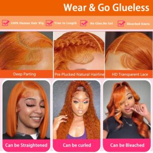 Eteenana Ginger Lace Front Wigs Human Hair Pre Plucked Body Wave 13x4 HD Transparent Lace Front Wigs Human Hair Colored 100% Brazilian Orange Glueless Human Hair Wigs for Women 180% Density (20 Inch)