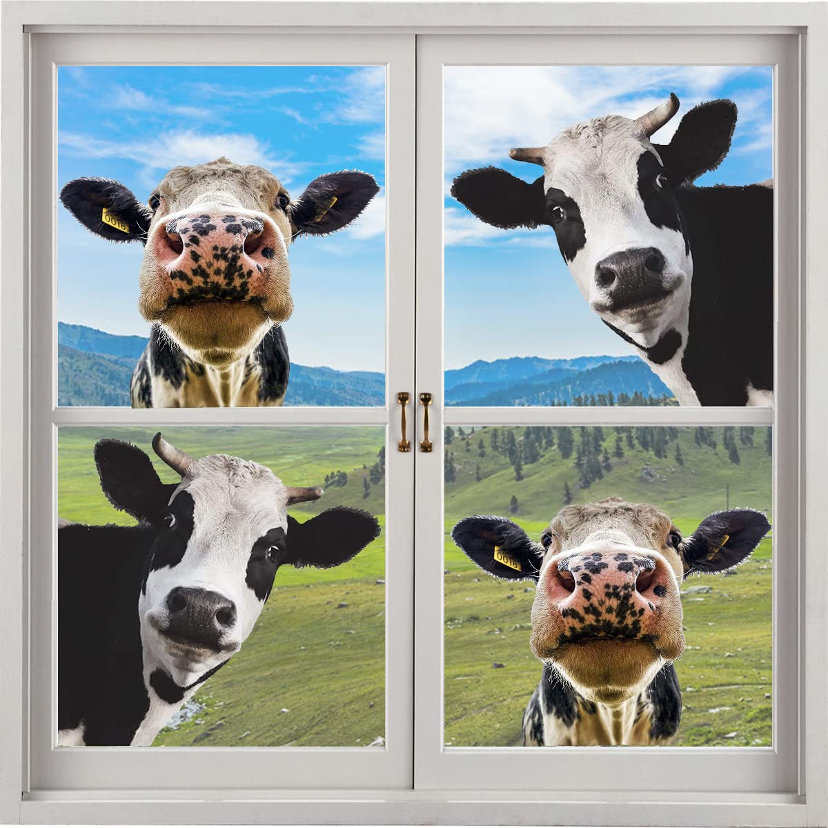 Fantasyon Funny Cow Wall 4 Pcs Decal Peeking Cow Wall Sticker Vinyl Cute Animal Art Sticker Weird Stuff Wall Decor for Farmhouse Classroom Living Room Kitchen Decoration