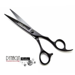 Professional Hair Scissors Salon Shears 6 Inch, Extremely Sharp 440C Blades, DynaCut Razor Sharp Haircutting Shears Hairdressing Scissors with Cleaning Oil and Leather Protection Sleeve