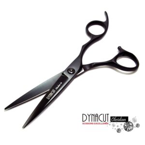 Professional Hair Scissors Salon Shears 6 Inch, Extremely Sharp 440C Blades, DynaCut Razor Sharp Haircutting Shears Hairdressing Scissors with Cleaning Oil and Leather Protection Sleeve