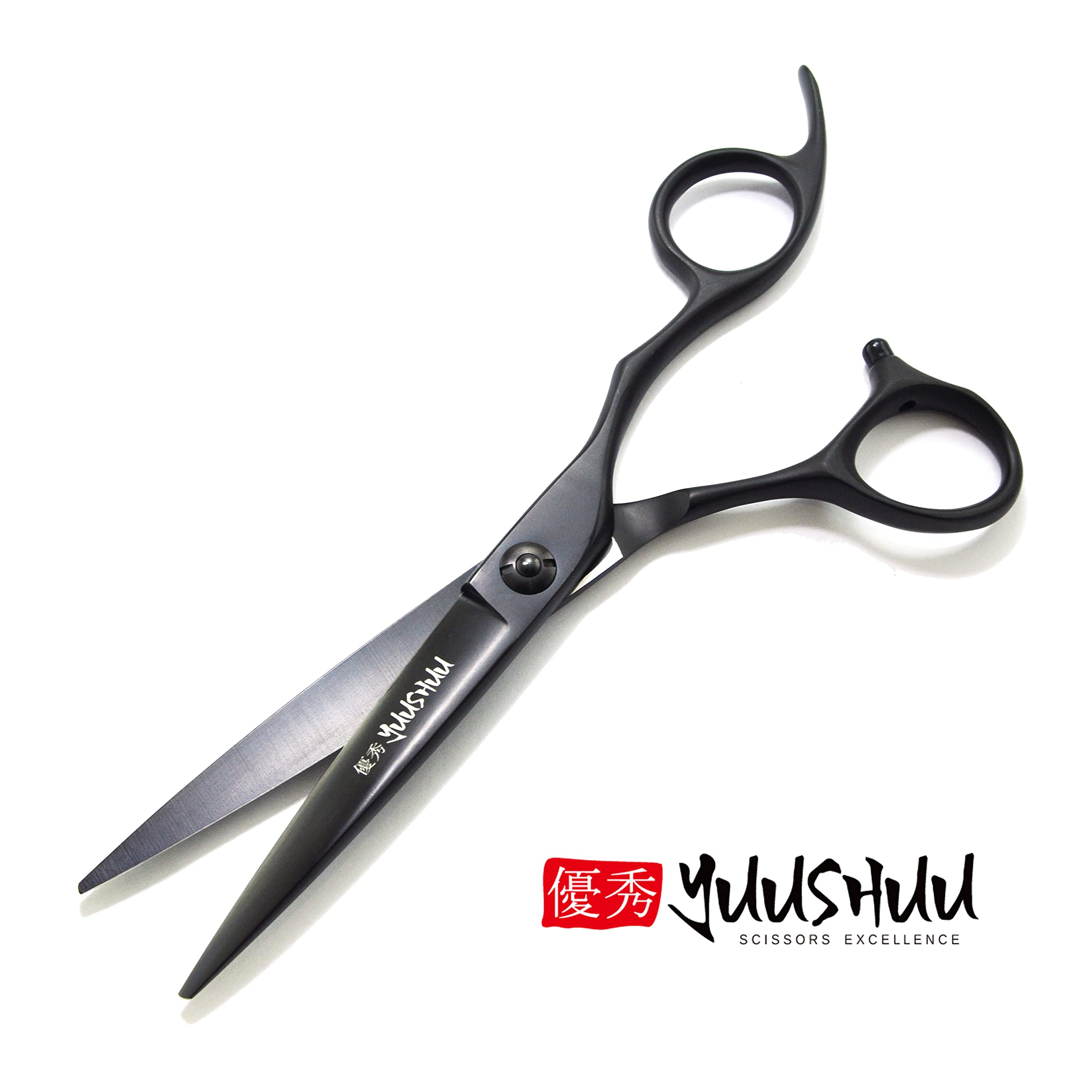 Professional Hair Scissors Salon Shears 6 Inch, Extremely Sharp 440C Blades, DynaCut Razor Sharp Haircutting Shears Hairdressing Scissors with Cleaning Oil and Leather Protection Sleeve