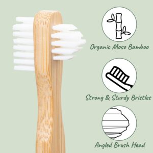 Denture Cleaning Tablets Smokers 120 Bundle with Dentu-Care Bamboo Denture Brush Specifically Designed to Gently Clean Hard to Reach Areas for Full Partial Dentures