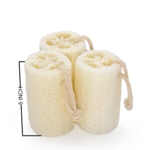 HUMINA Hot Bath Supplies Loofah,Natural Loofah Sponge Bath Body Exfoliation Natural Loofah 3 Pack of 5 inch