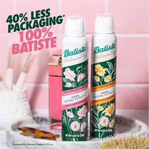 Batiste Natural - Bamboo Garden 4.23 oz