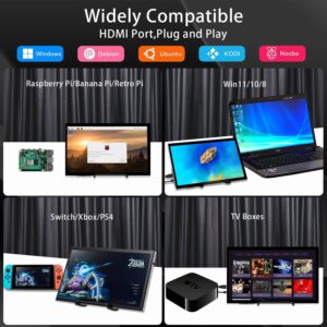 HAMTYSAN 10.1'' Raspberry Pi Screen Touchscreen Monitor 1024×600 HDMI Computer Monitor FHD IPS LCD Laptop Monitor for Raspberry Pi 4/3/2/Zero/B/B+ Jetson Nano Win11/10/8/7, Driver Free