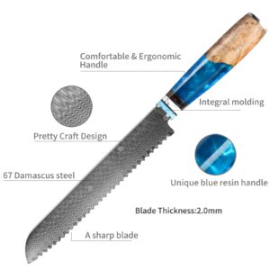 Bread Knife, Damascus Multifunction Serrated Knife, Professional Japanese VG10 Damascus Steel Bread Knife,Serrated Cake Knife Bread Cutter for Homemade Crusty Bread