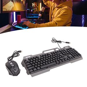 Vikye Wired Gaming Keyboard and Mouse Combo, 104 Keys RGB Backlit Ergonomically Mechanical Gaming Keyboard, Wired USB Gaming Keyboard Mouse Set