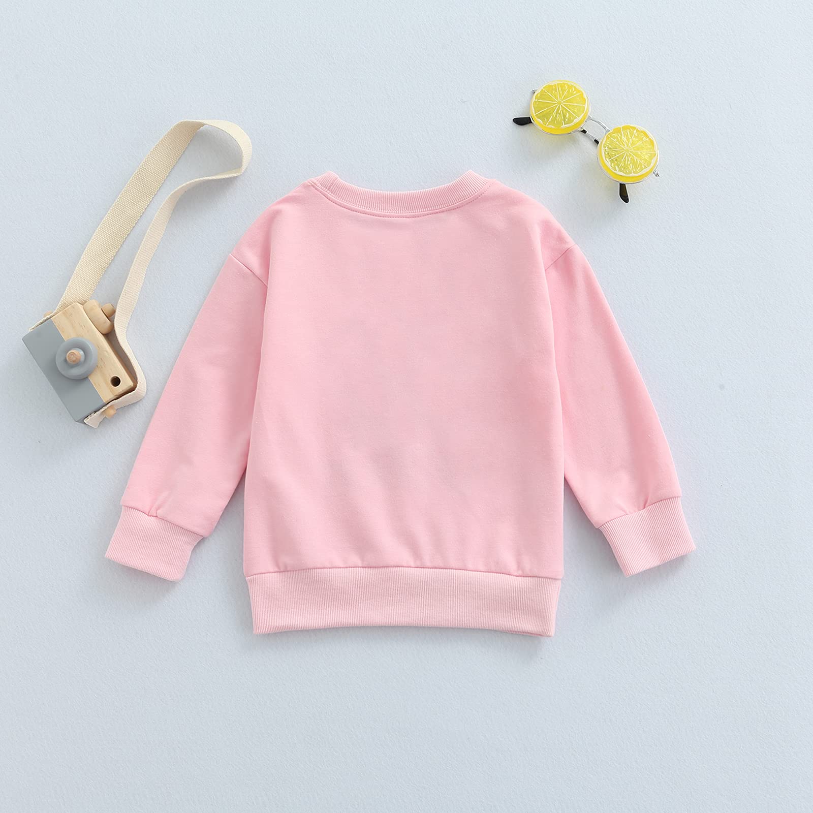 Tiacham Toddler Sweatshirt Baby Girl Fall Clothes Wild Like My Curls Shirt Kids Crewneck Sweaters Winter Top (Pink, 2-3 Years)