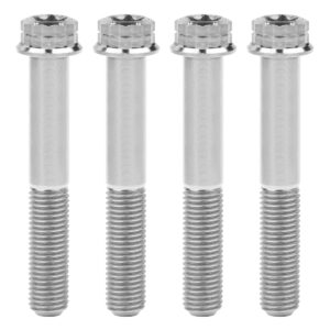 wanyifa titanium flange 12 point head m10 x20 25 30 35 40 45 50 55 60 65 70 mm bolt screw pack of 4 (m10x70mm pitch 1.25mm, silver)