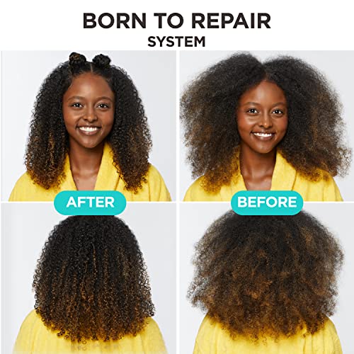 Carol's Daughter Born To Repair Nourishing Shampoo, Sulfate-Free Hair Care for Curly Hair with Shea Butter, 11 Fl Oz