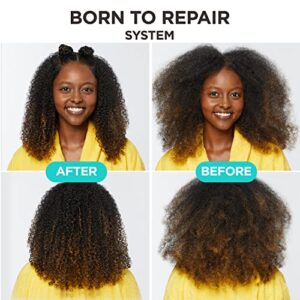 Carol's Daughter Born To Repair Nourishing Conditioner, Sulfate-Free Hair Care for Curly Hair with Shea Butter, 11 Fl Oz