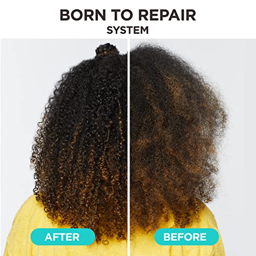 Carol's Daughter Born To Repair Nourishing Shampoo, Sulfate-Free Hair Care for Curly Hair with Shea Butter, 11 Fl Oz