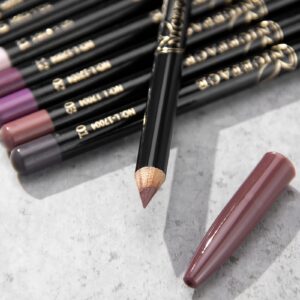 Petansy Lip Liner Pencils Set 12 Colors Waterproof Smooth Lip Pencils High Pigmented Lip Liner Set Matte Lipstick Pen