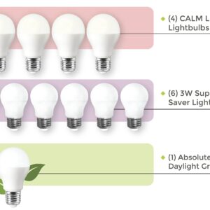 Serene Living Calm 11 Piece LED Lighting Kit for a Warm & Comfortable Environment (4-Pack)