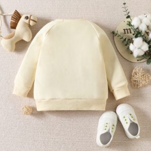 vchoohce Baby Girl Sister Matching Outfit Long Sleeve Letter Print Crewneck Sweatshirt Pullover Sweater Fall Winter Clothes (Big Sister-Yellow,3-4T)