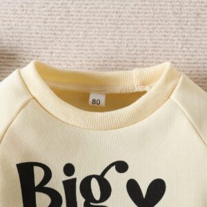 vchoohce Baby Girl Sister Matching Outfit Long Sleeve Letter Print Crewneck Sweatshirt Pullover Sweater Fall Winter Clothes (Big Sister-Yellow,3-4T)